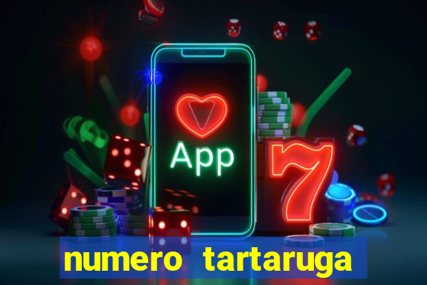 numero tartaruga jogo do bicho